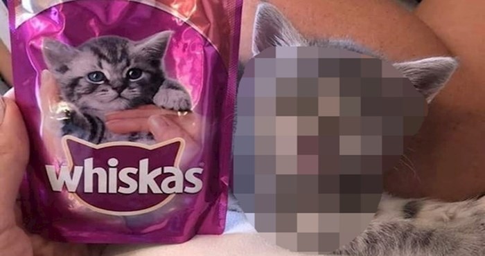 Netko je pronašao neodoljivog mačića s poznate hrane za mačke