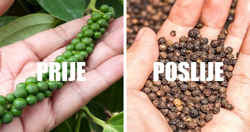 Ovako izgledaju naši omiljeni začini prije nego stignu na police trgovina