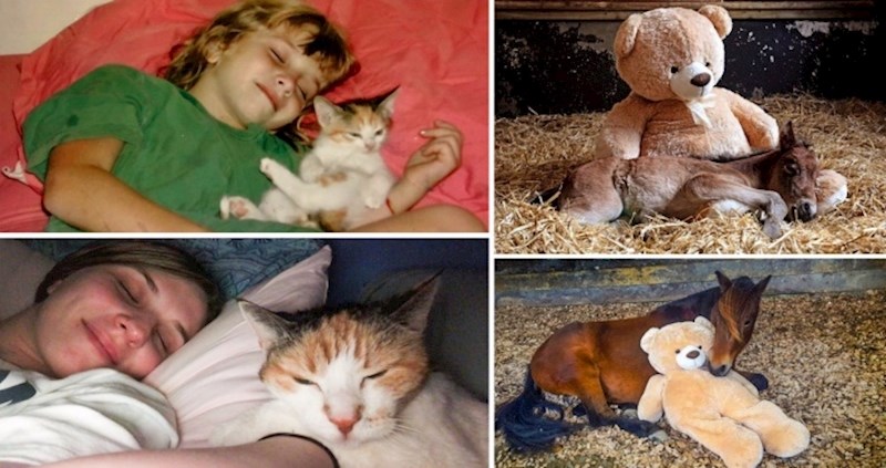 15 fotografija usporedbi koje govore puno više od riječi