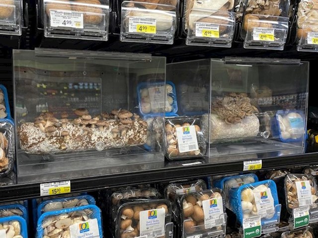 Ova prodavaonica mješovite robe i uzgaja neke gljive koje prodaje.