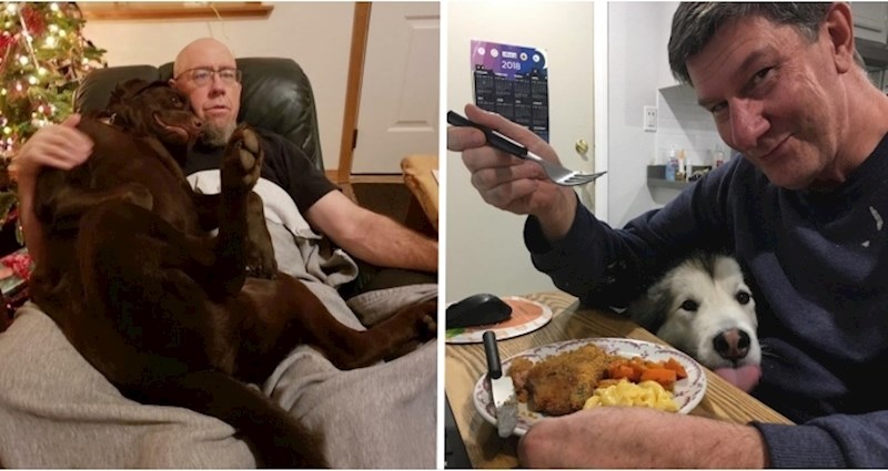 20 fotki koje dokazuju da bi nam život bez njih bio dosadan