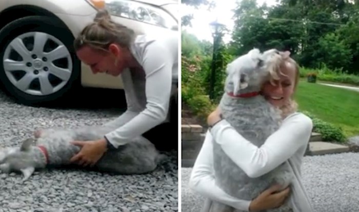 VIDEO Nakon dvije godine i ponovnog susreta ovaj pas od sreće se doslovno onesvijestio