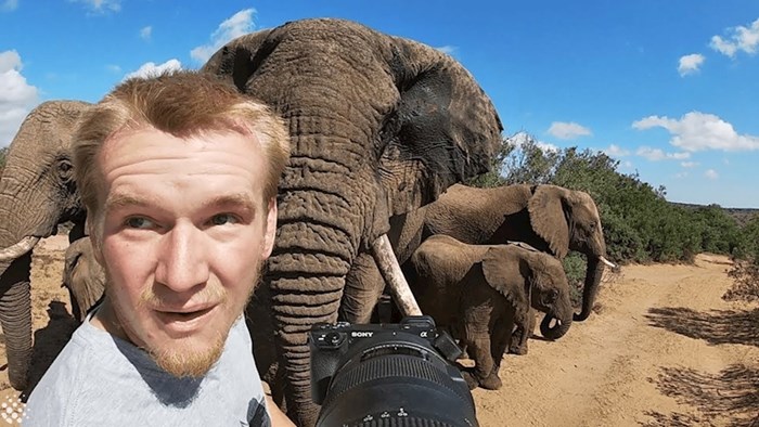 VIDEO Pogledajte nevjerojatan susret fotografa s krdom slonova