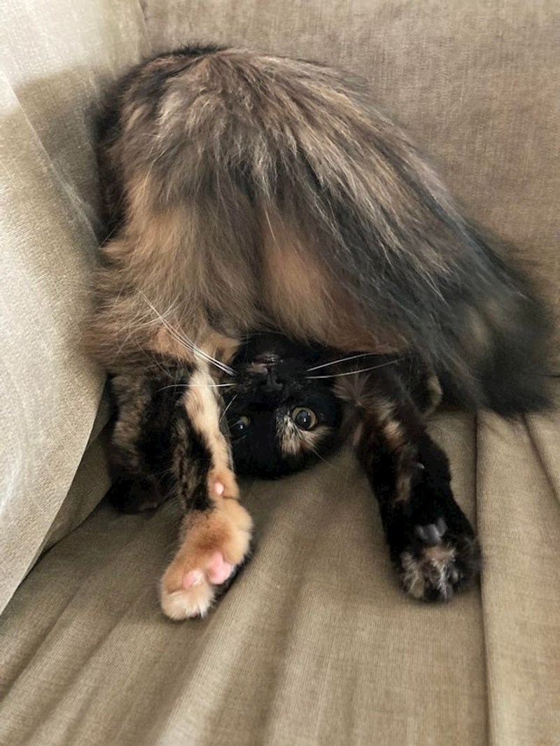 “Ona to uvijek radi kada polako približim ruku prema njoj.”