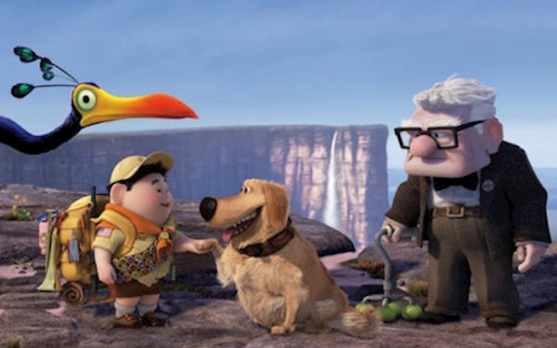 Planina Roraima poslužila je i kao ispiracija za popularni animirani film “UP” iz 2009. godine