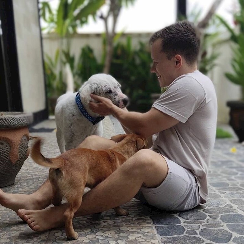 Nakon tri mjeseca, rak je nestao i Homer je počeo vraćati svoje pahuljasto bijelo krzno.