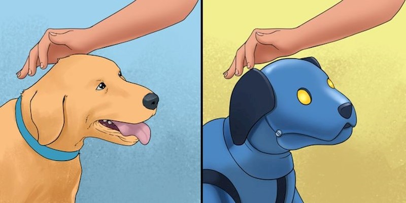 3. Robotski psi vodiči.