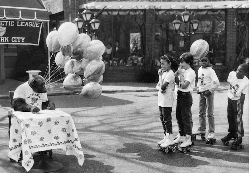 Djeca su na ovom rođendanu dobila priliku upoznati se s čimpanzom.