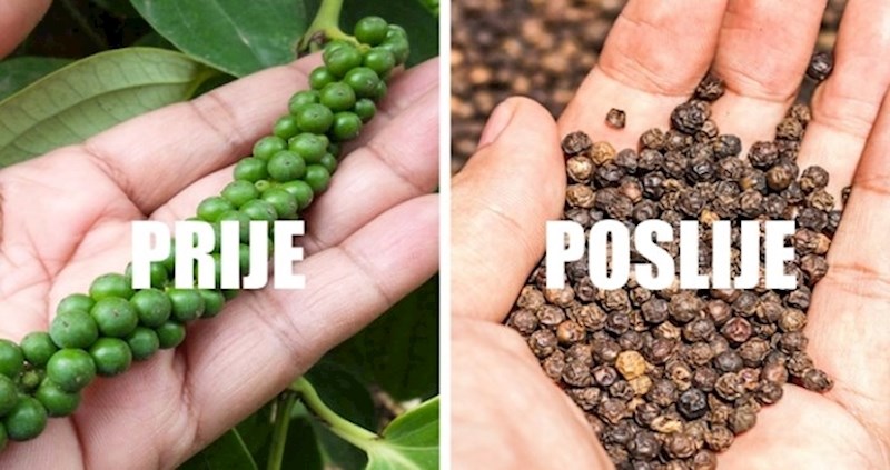 Ovako izgledaju vaši omiljeni začini prije nego stignu na police trgovina