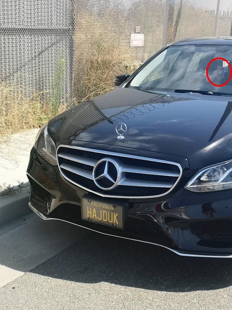 Ponosni Dalmatinac iz Kalifornije. :)