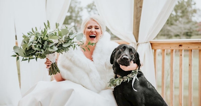 Mladenka koja je dovela psa na fotografiranje za vjenčanje postala je viralni hit