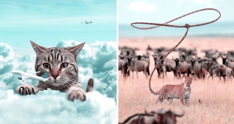 Ovaj čovjek redizajnira životinje na nadrealan i čaroban način