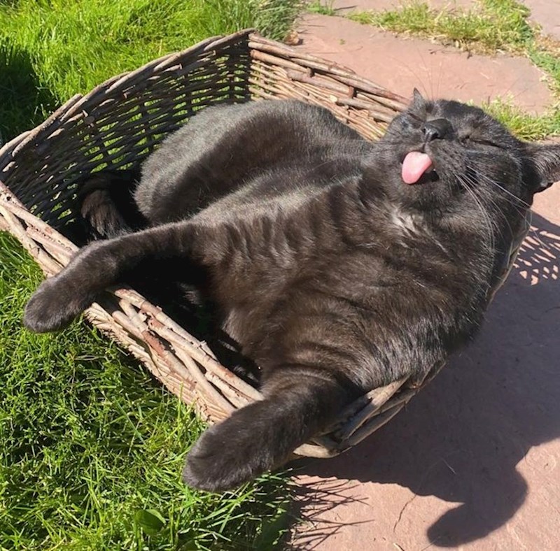 5. "Sunce je vani, a vani je i jezik."