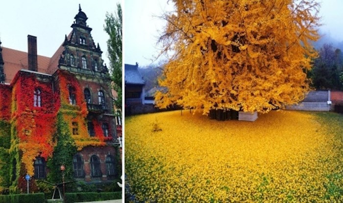 15 fotografija koje pokazuju kako čarolija jeseni izgleda diljem svijeta