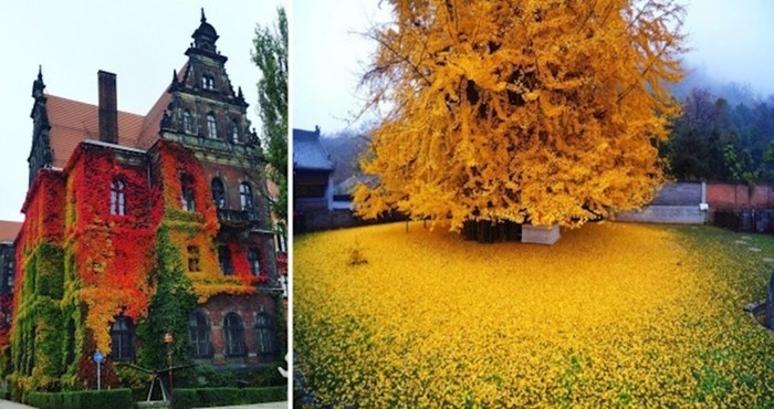 15 fotografija koje pokazuju kako čarolija jeseni izgleda diljem svijeta