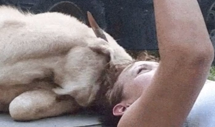 Htjela je slatku fotku s kozom ali njoj se to nije sviđalo