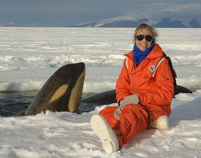 #3 Posjetitelji se mogu prijaviti za gledanje kitova na Antarktiku.