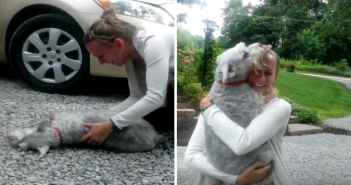 VIDEO Ovaj pas od sreće se doslovno onesvijestio, pogledajte kako je izgledao dirljivi susret nakon dvije godine