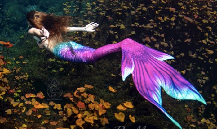 Ovaj fotograf snimio je prizore sirene u čarobnoj podvodnoj šumi
