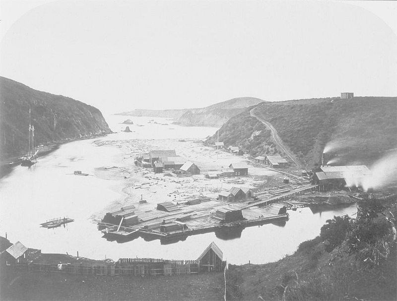 Ova slika rijeke Albion Carletona Watkinsa nadahnula je gornji „Pejzaž voćnih pahuljica“.