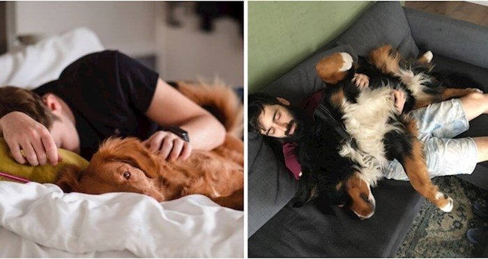 Evo zašto biste trebali dopustiti psu da spava u vašem krevetu