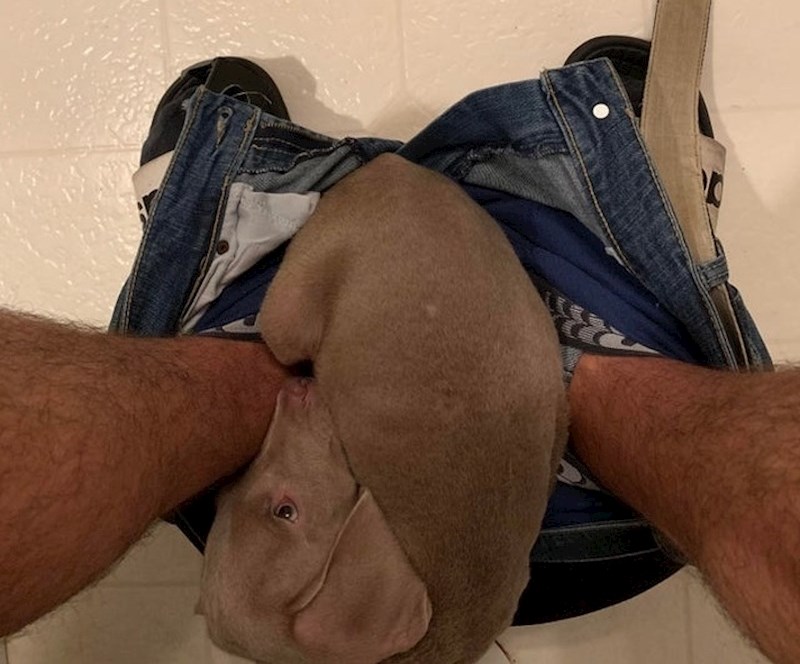 #11 "Bez obzira na to kamo idem, Geoff se uvijek želi priviti uz mene."