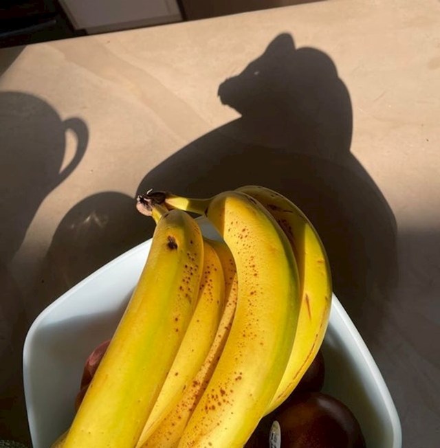 “Sjena banana koja izgleda kao mačka.”