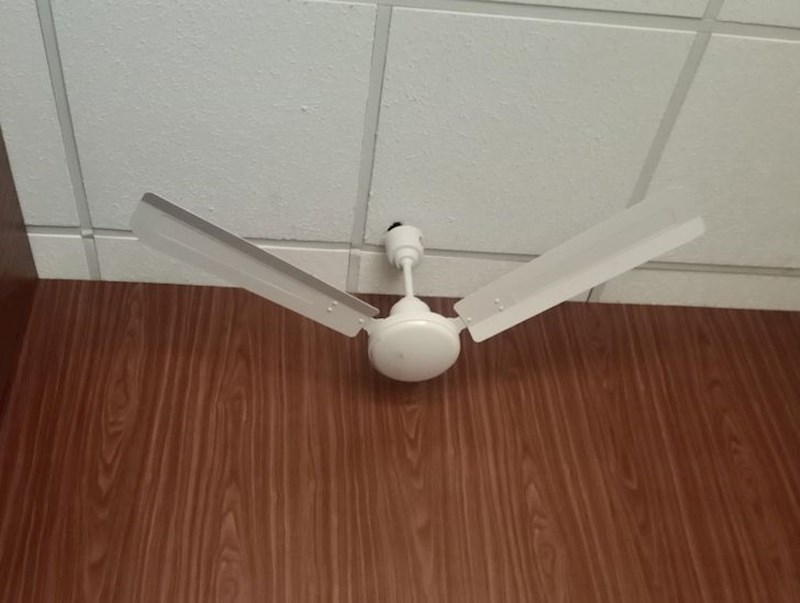 "Na ovo sam naišao u zgradi sveučilišta."