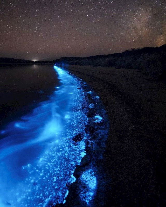 Užareni bioluminescentni fitoplankton čini da ova plaža izgleda kao nešto iz bajke.