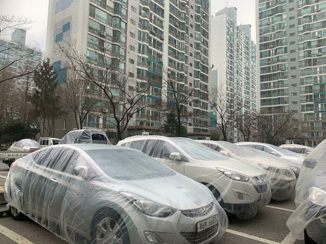 Stambeni kompleks u Koreji bio je u procesu bojanja, pa su slikari zaklonili sve automobile na parkiralištu kako bi se zaštitili od prskanja.