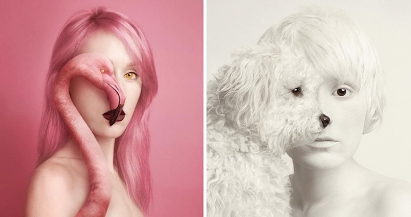 Ljudi ili životinje: konceptualna umjetnost iz Mađarske