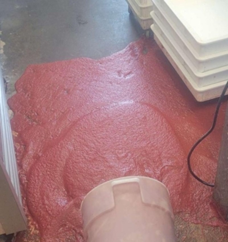 "Ne želim više biti ovdje danas."