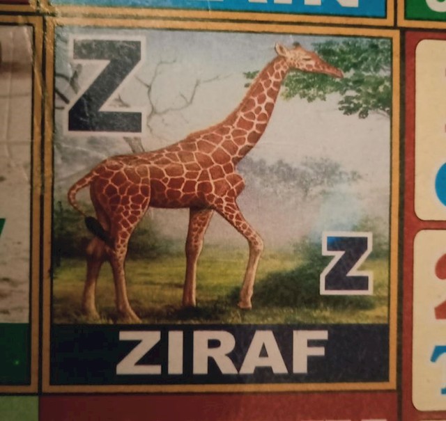 "Slovarica gotova?"