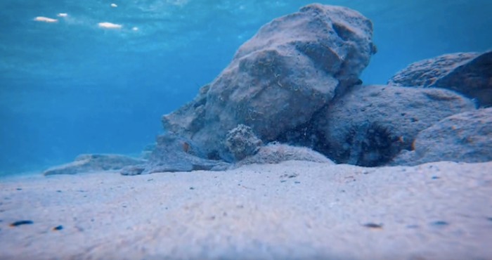VIDEO Netko je na Rabu ostavio GoPro na dnu mora, pogledajte što je snimila