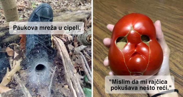 17 puta kada je priroda za nas pripremila zanimljiva iznenađenja