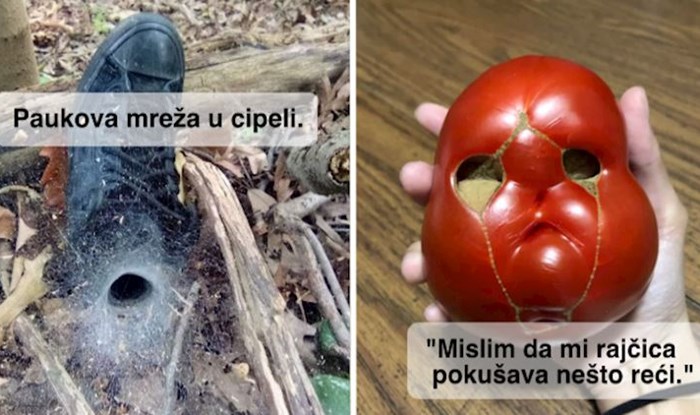 17 puta kada je priroda za nas pripremila zanimljiva iznenađenja