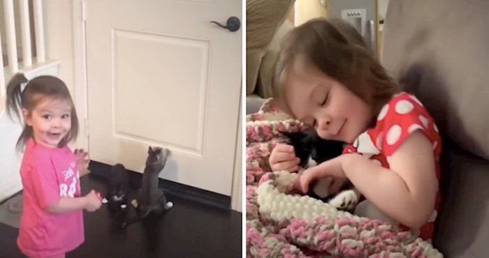 VIDEO Oduševiti će vas ovo prijateljstvo djevojčice i njenih mačaka