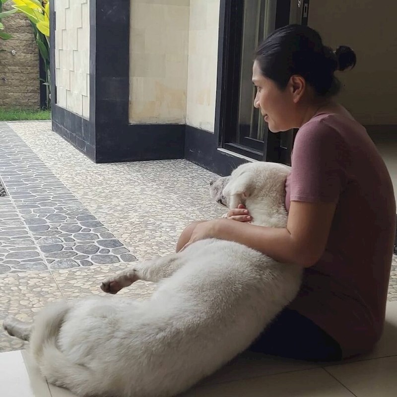 Tada se javila Aaronova prijateljica i ponudila Homeru dom zauvijek.