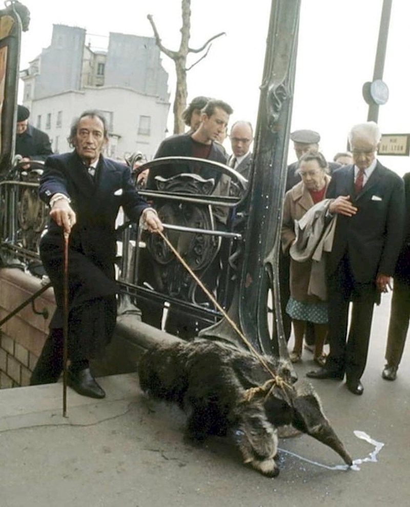 Salvador Dali i mravojed u šetnji Parizom 1969. godine.