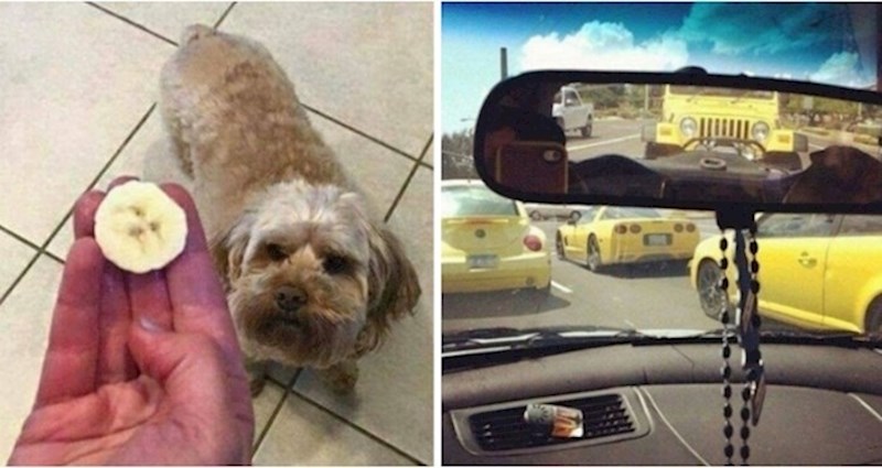 15 slučajnosti koje su se savršeno uklopile u svoju okolinu i ovi ljudi su to morali fotkati