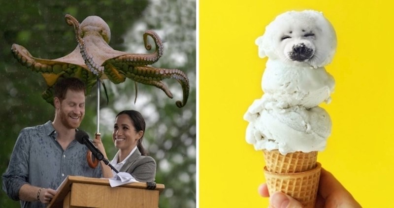 Netko je koristio Photoshop kako bi spojio životinje i različite stvari i internet ga sada obožava