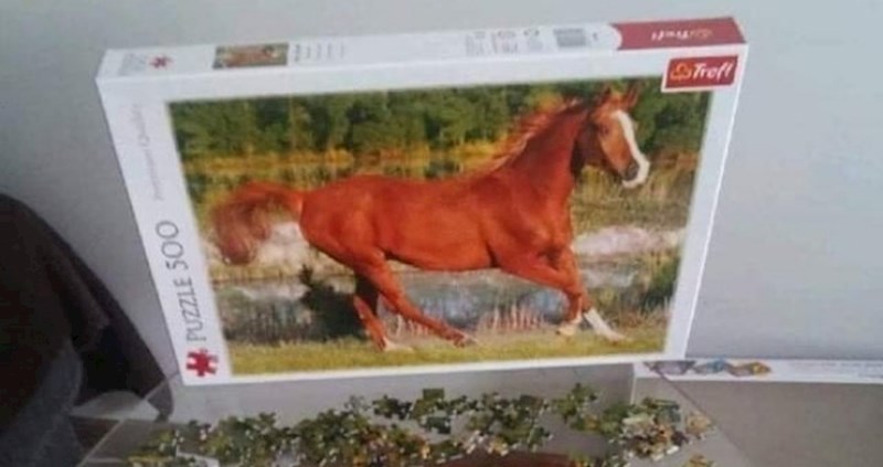 Ovaj čovjek dobio je slagalicu za Božić, pogledajte kako ju je složio