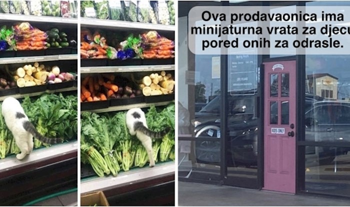 10+ ljudi koji su u kvartovskom dućanu osim hrane pronašli dobru zabavu