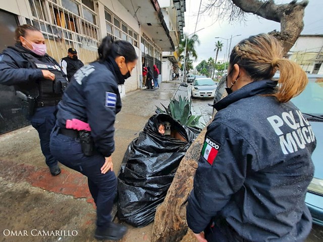 Pola sata lokalna policija očajnički je pokušavala uvjeriti Chole da ode u sklonište, ali ona je odbila.