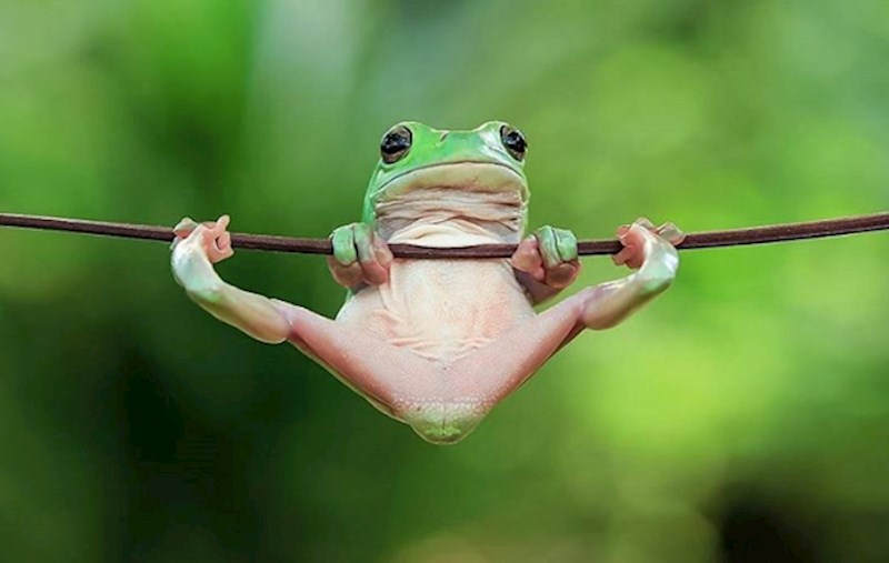 9. Pokušavaju ostati u kondiciji i smršavjeti.