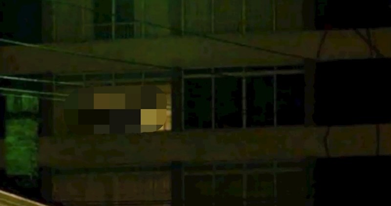 Ovaj čovjek primijetio je vrlo neobičnog kućnog ljubimca u susjednoj zgradi