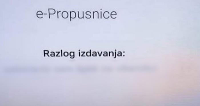 Netko je smislio još jedan genijalan način da dođe do svoje propusnice