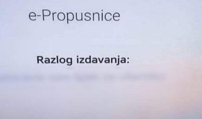 Netko je smislio još jedan genijalan način da dođe do svoje propusnice