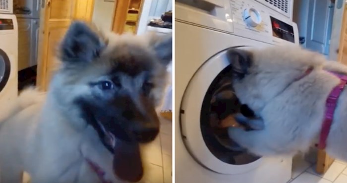 VIDEO Pogledajte Kidinu preslatku reakciju kada joj omiljena igračka završi u perilici rublja