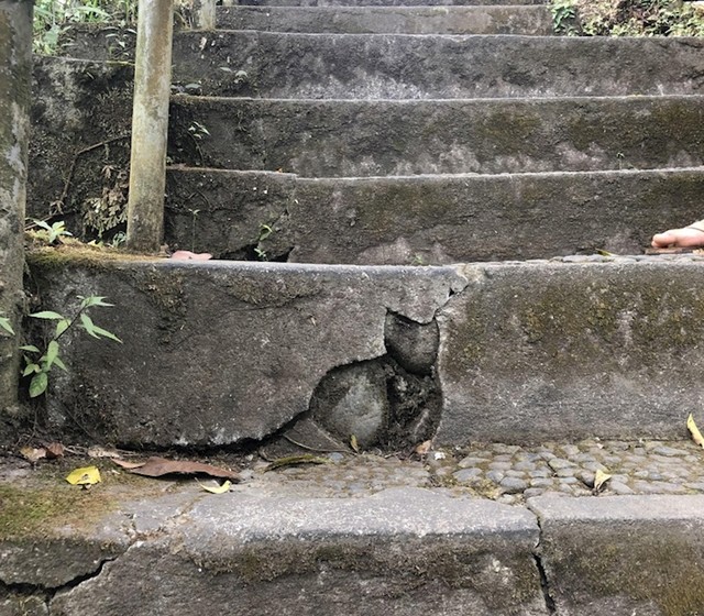 #9 Ova pukotina na stepenicama koja izgleda kao mačka.